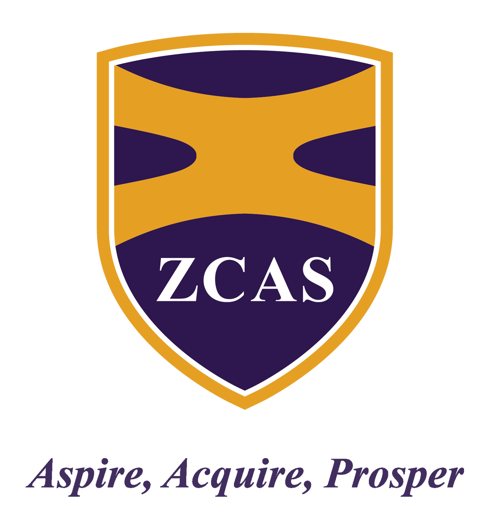 ZCAS University